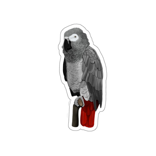 Grey Parrot Bird Kiss-Cut Sticker - jz.birds
