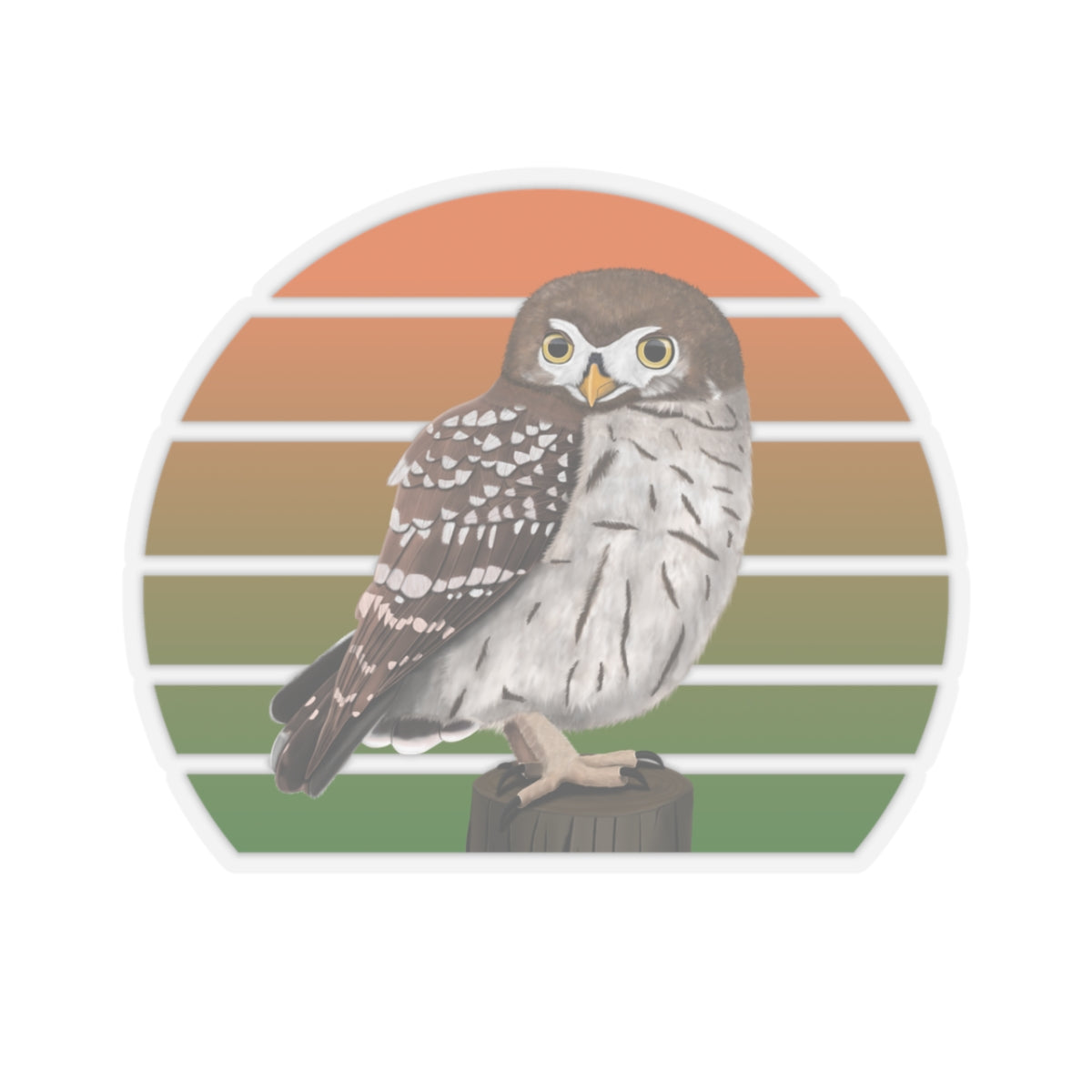 Little Owl Bird Sticker