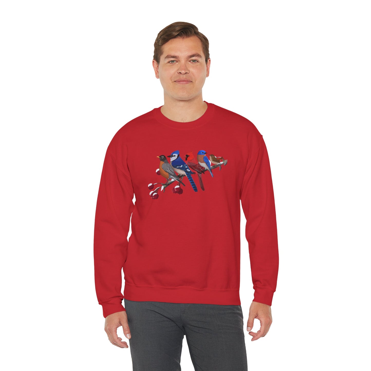 Backyard Birds Robin Blue Jay Cardinal Bluebird Wren Birdwatcher Christmas Bird Sweatshirt