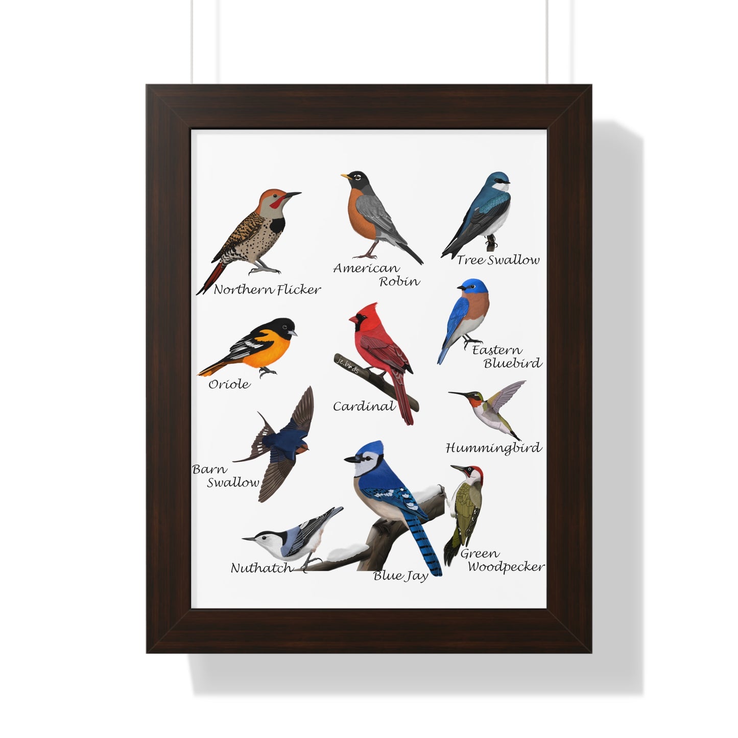 Blue Jay, Cardinal, Nuthatch, Oriole and Robin Framed Poster – Home & Living