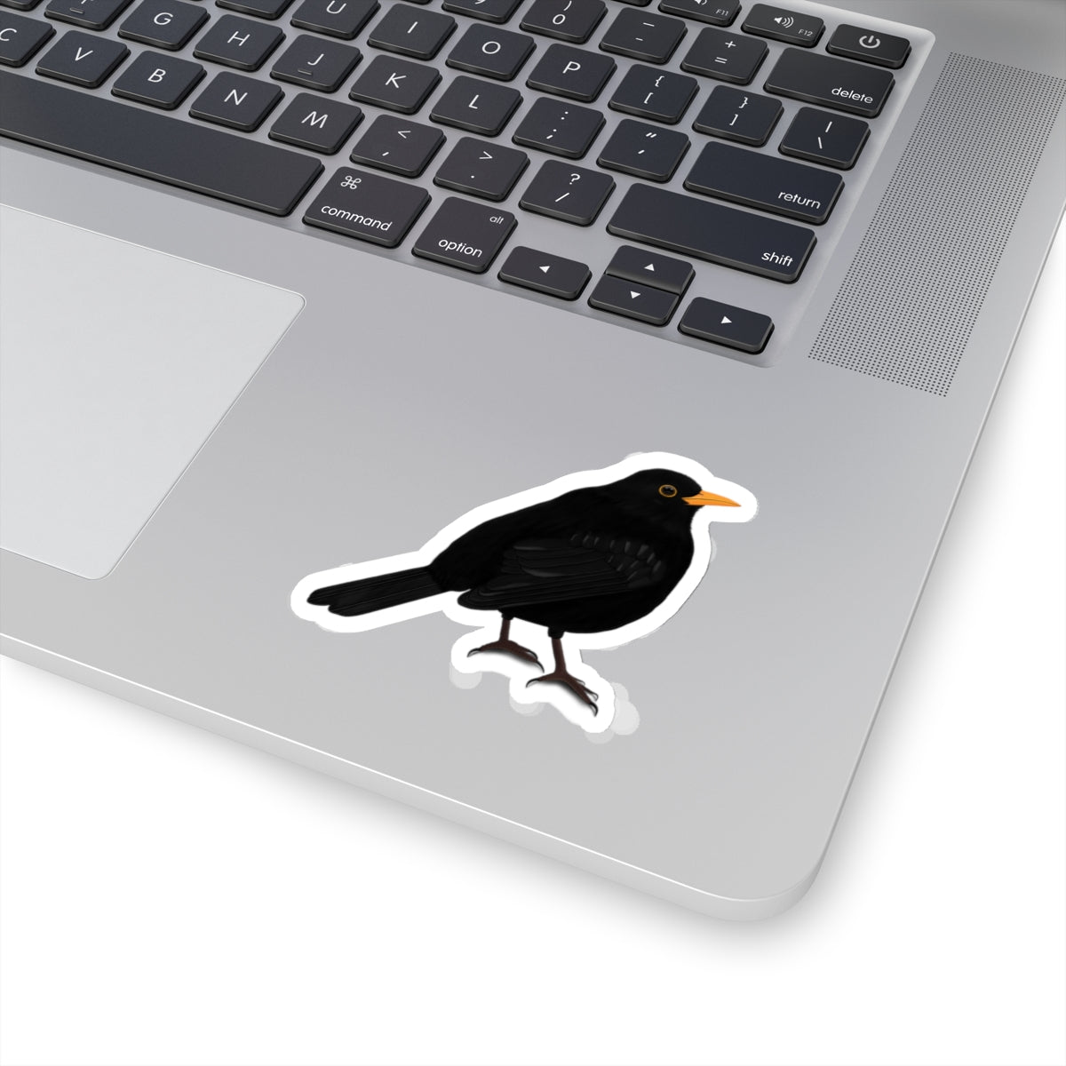 Blackbird Bird Kiss-Cut Sticker - jz.birds