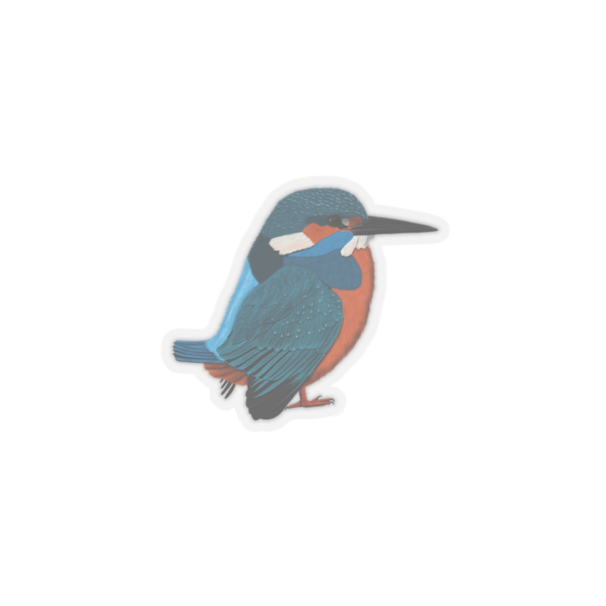 Kingfisher Bird Kiss-Cut Sticker - jz.birds