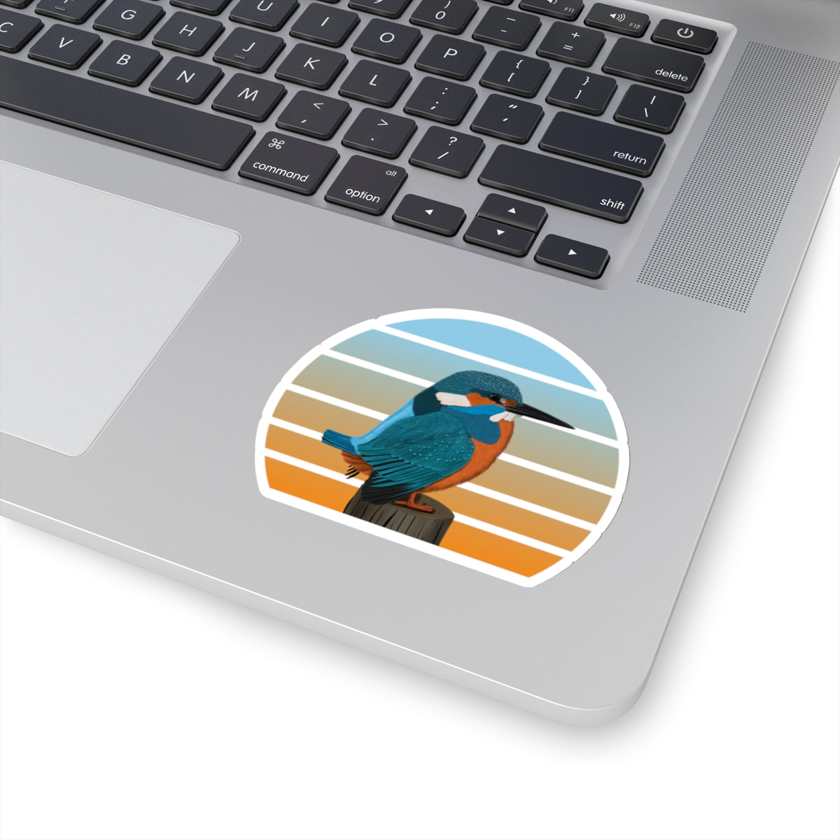 カワセミの鳥のステッカー