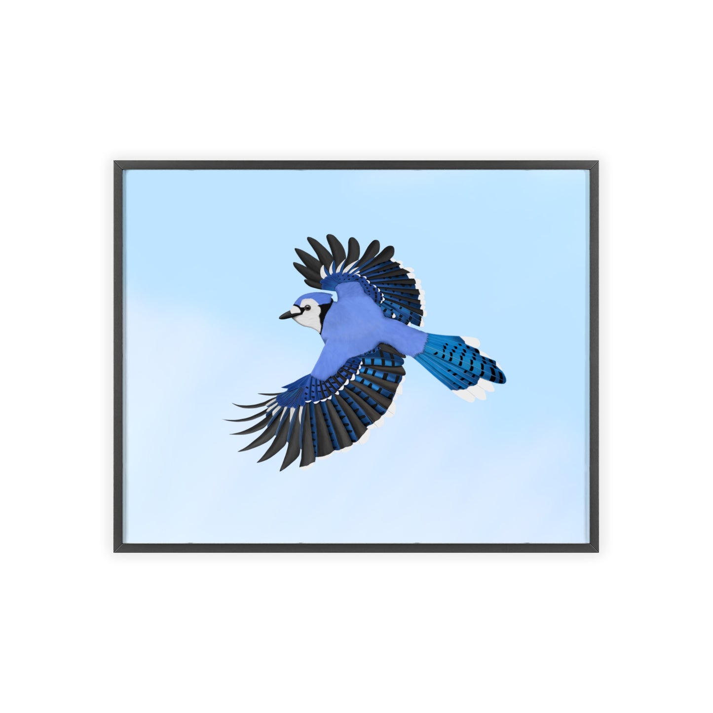 Vogel Poster im Holzrahmen - Blue Jay Poster Gartenvogel Singvogel