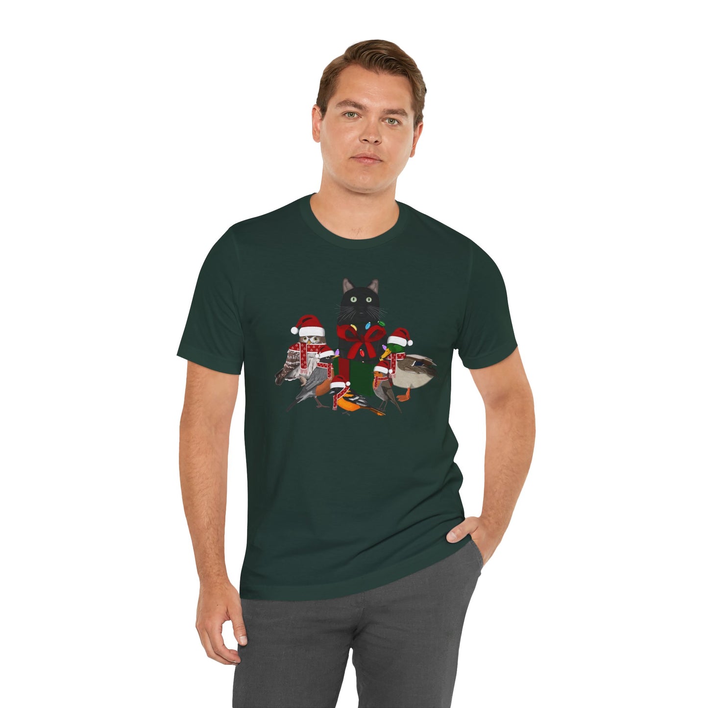 Robin Mallard Oriole Owl with Cat in a Box and Fairy Lights Christmas Bird T-Shirt