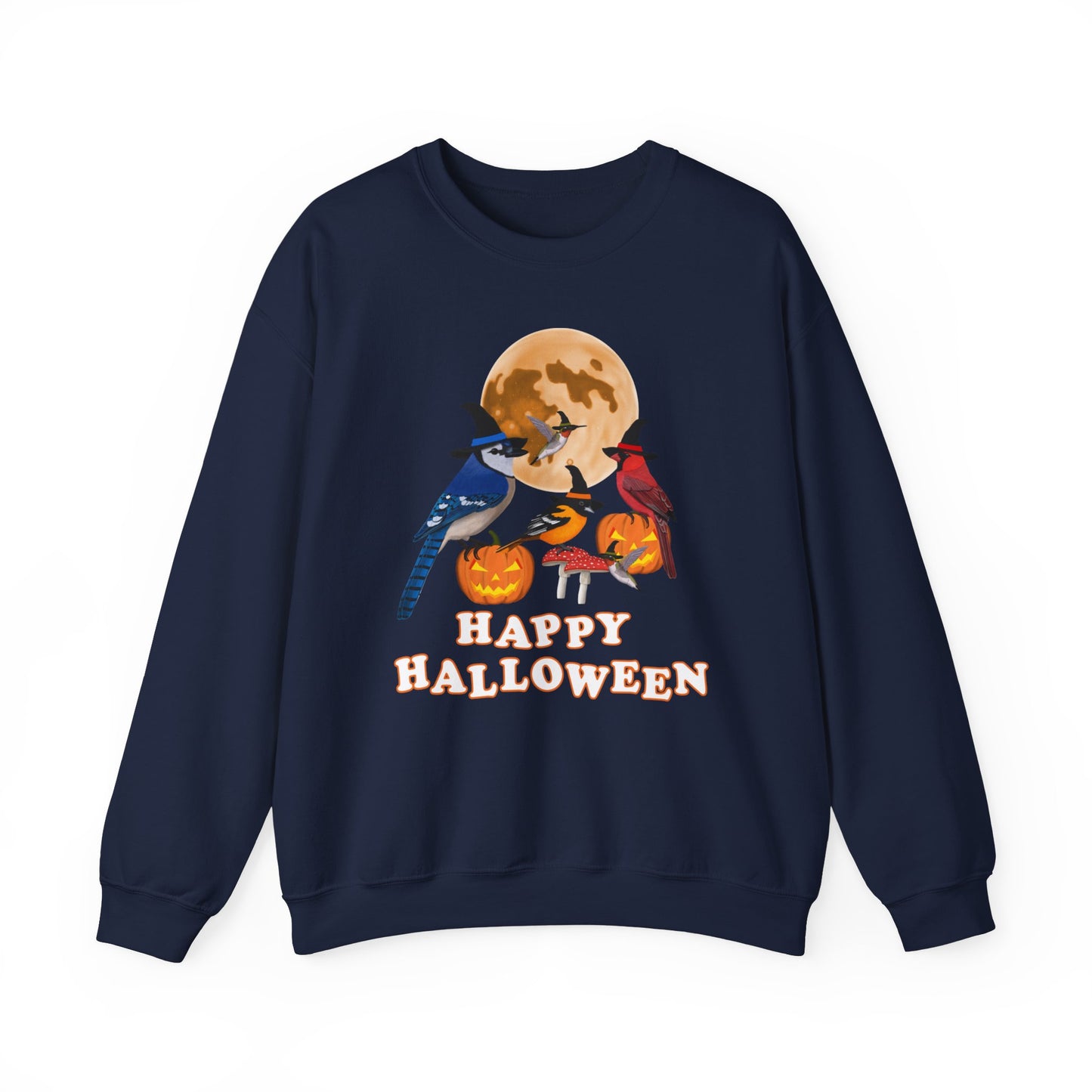 Blue Jay Cardinal Oriole Hummingbird Halloween Birds Witch Birdwatcher Sweatshirt
