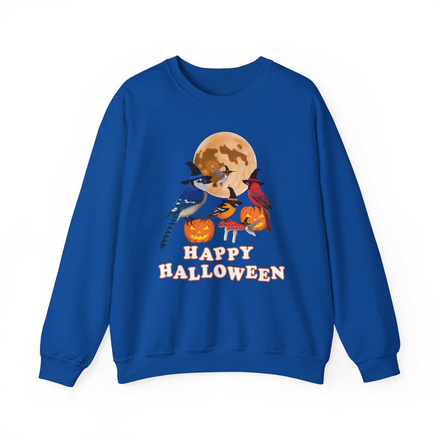 Blue Jay Cardinal Oriole Hummingbird Halloween Birds Witch Birdwatcher Sweatshirt