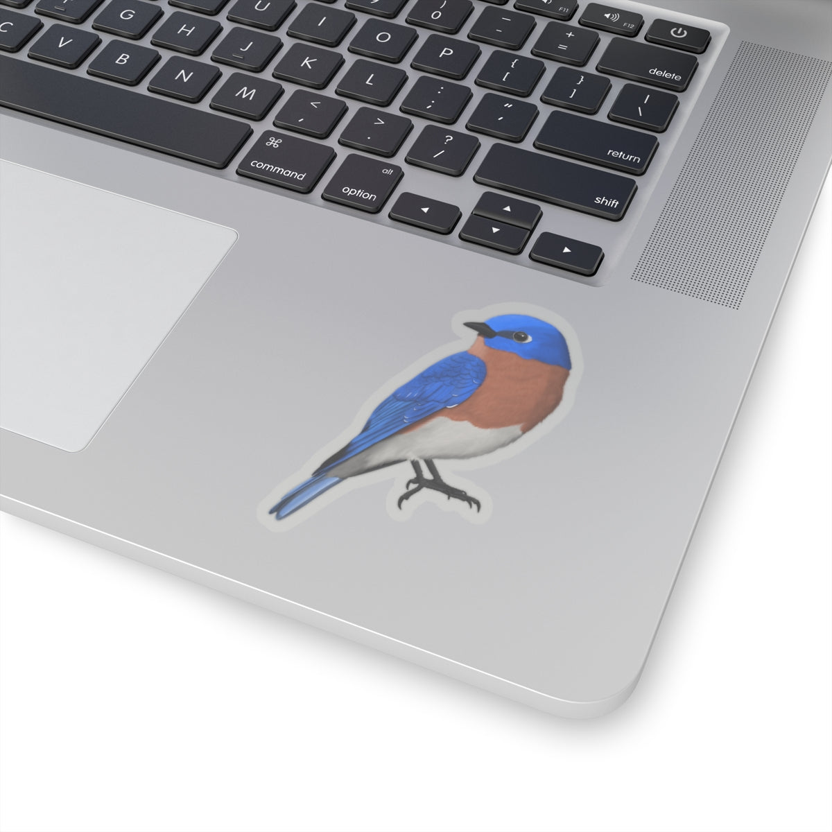 Eastern Bluebird Bird Kiss-Cut Sticker - jz.birds