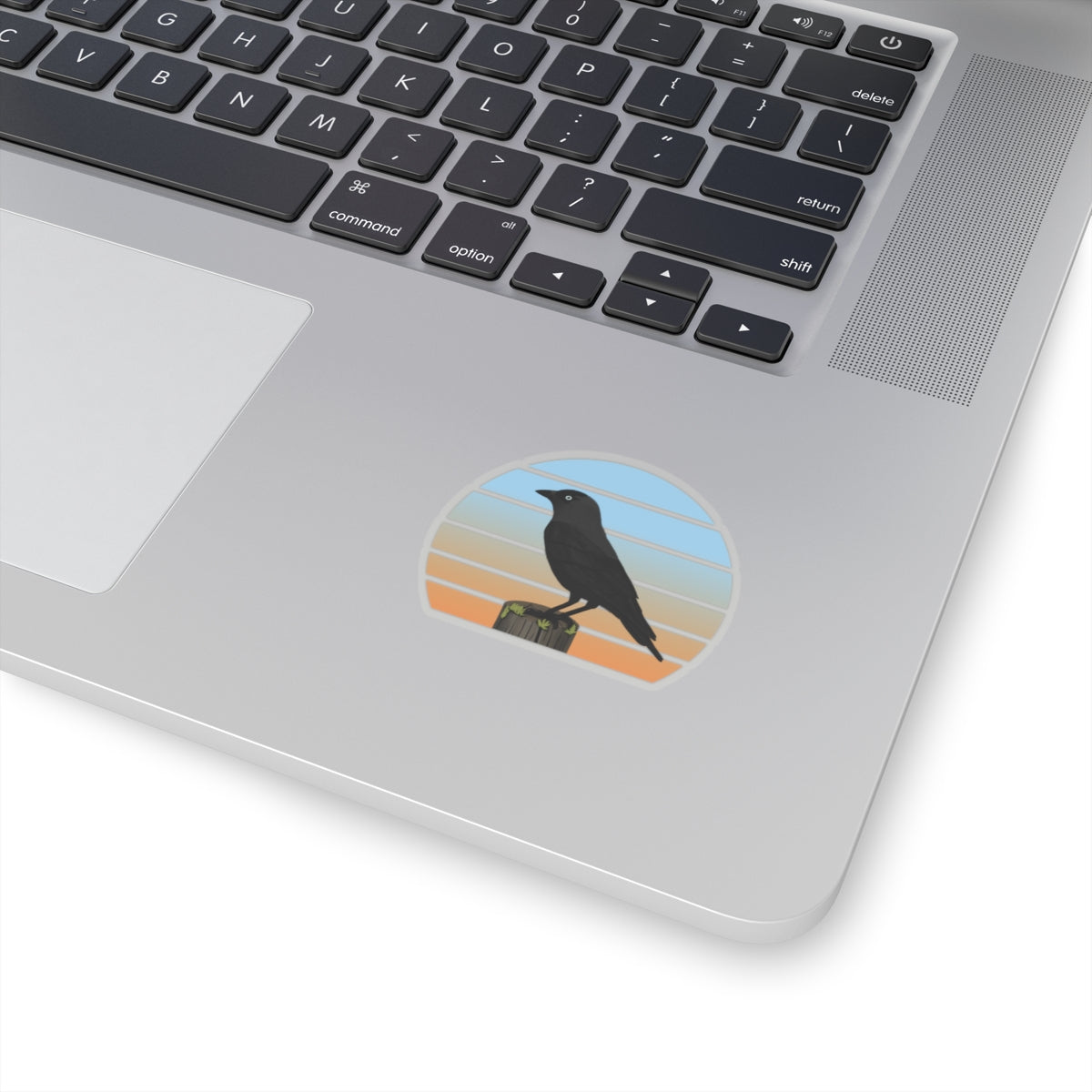 Jackdaw Bird Sticker