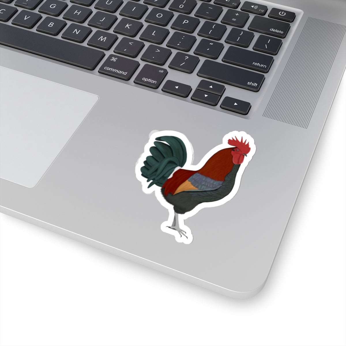 Chicken Bird Kiss-Cut Sticker - jz.birds