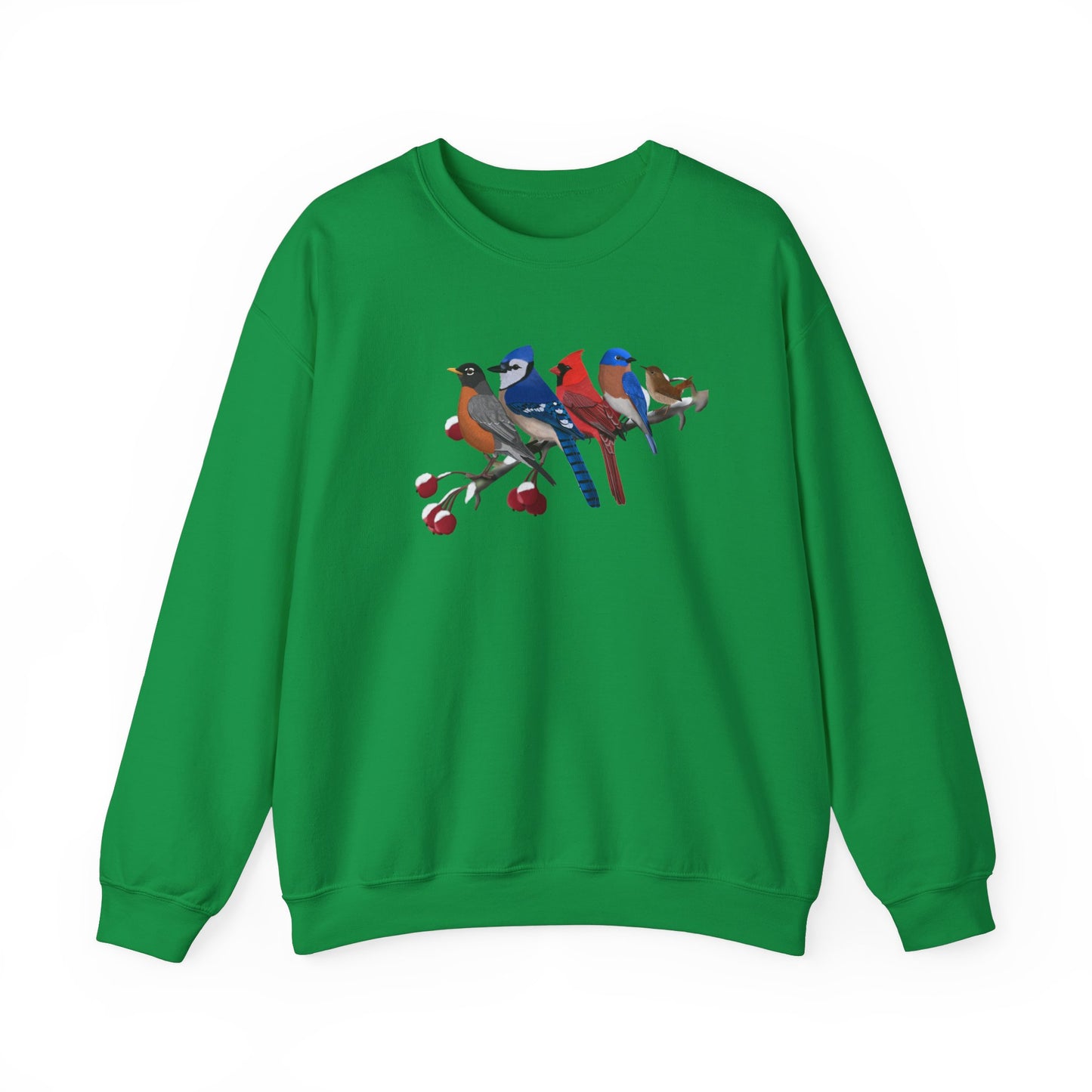 Backyard Birds Robin Blue Jay Cardinal Bluebird Wren Birdwatcher Christmas Bird Sweatshirt