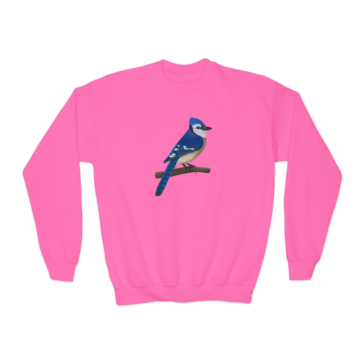 Blue Jay Youth Sweatshirts – Casual Kids Clothing and Cool Weather Outfit style