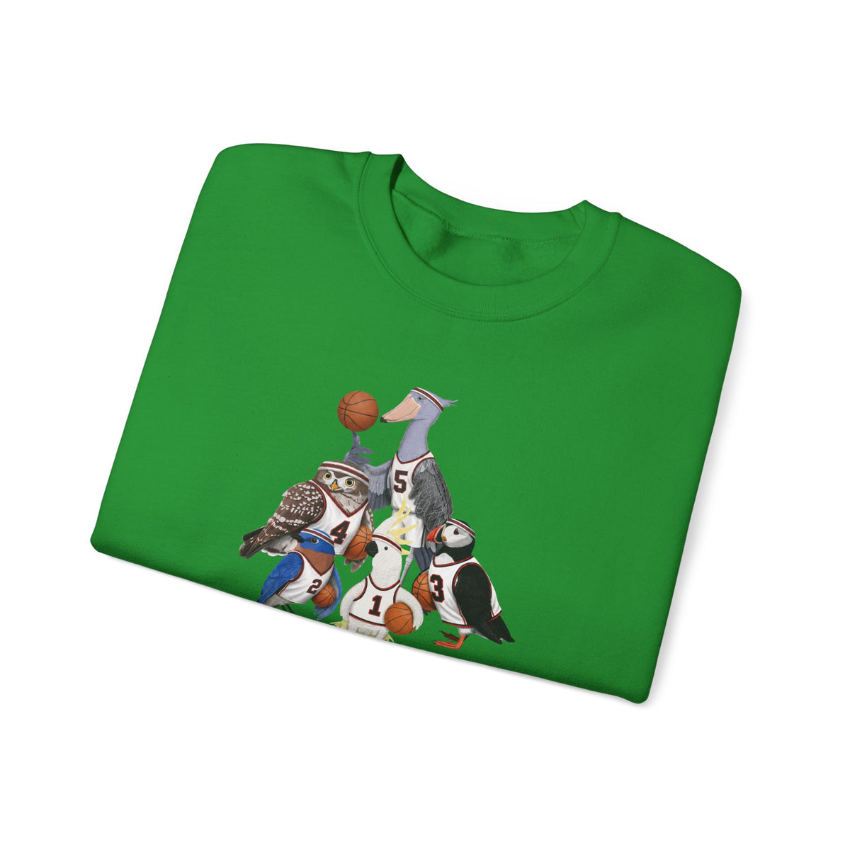 Funny Basketball Bird Sweatshirt | Bird Watcher Crewneck | Unisex Unique Hoops Fan Gift