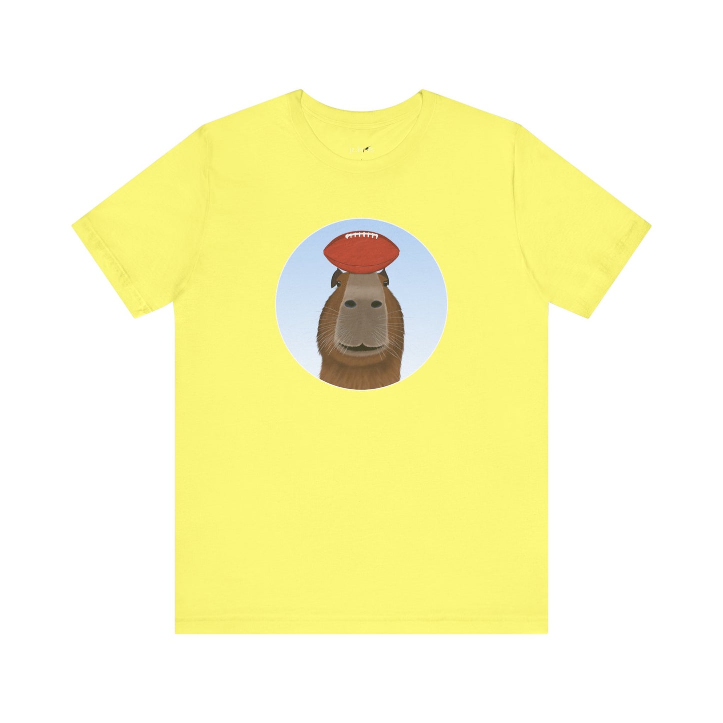 Capybara with Football Funny T-Shirt