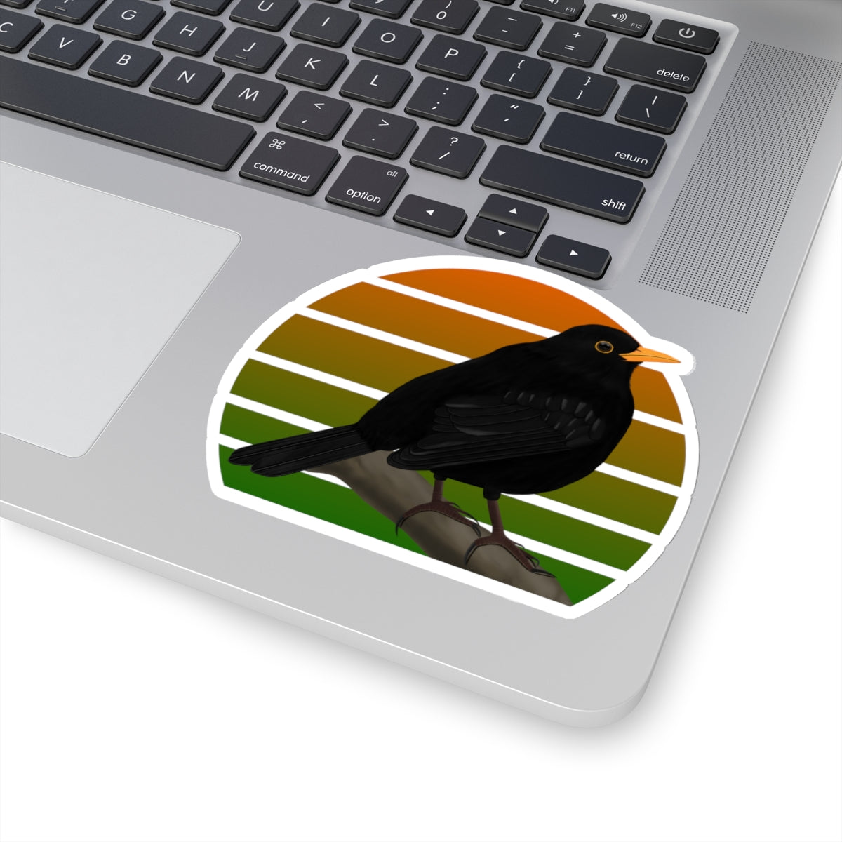 Blackbird Bird Sticker