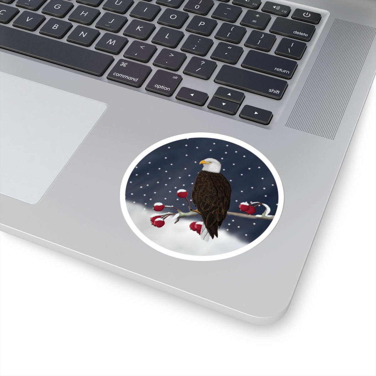 Bald Eagle on a Winter Branch Christmas Bird Sticker