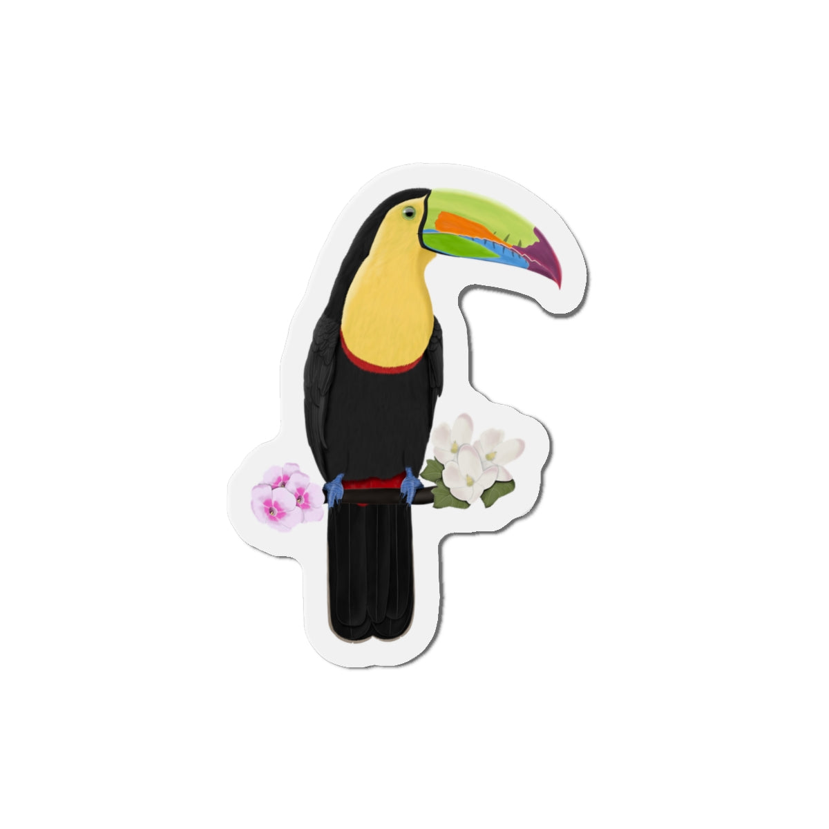 Keel-Billed Toucan Bird Magnet