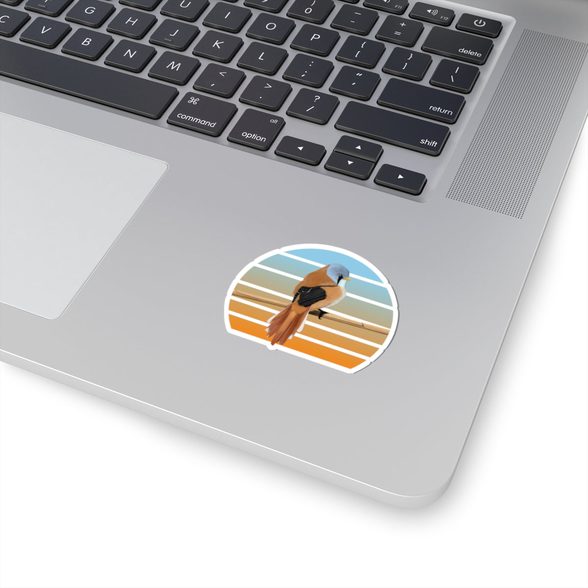 Bearded Reedling Bird Sticker