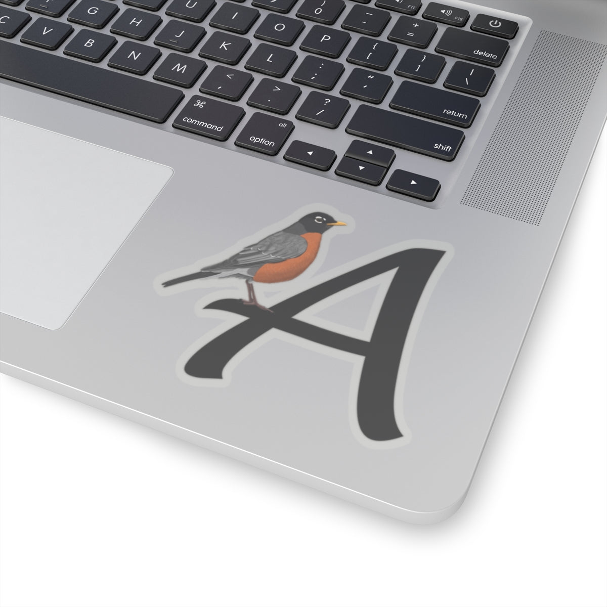 American Robin Paper products – Home & Living and letter style