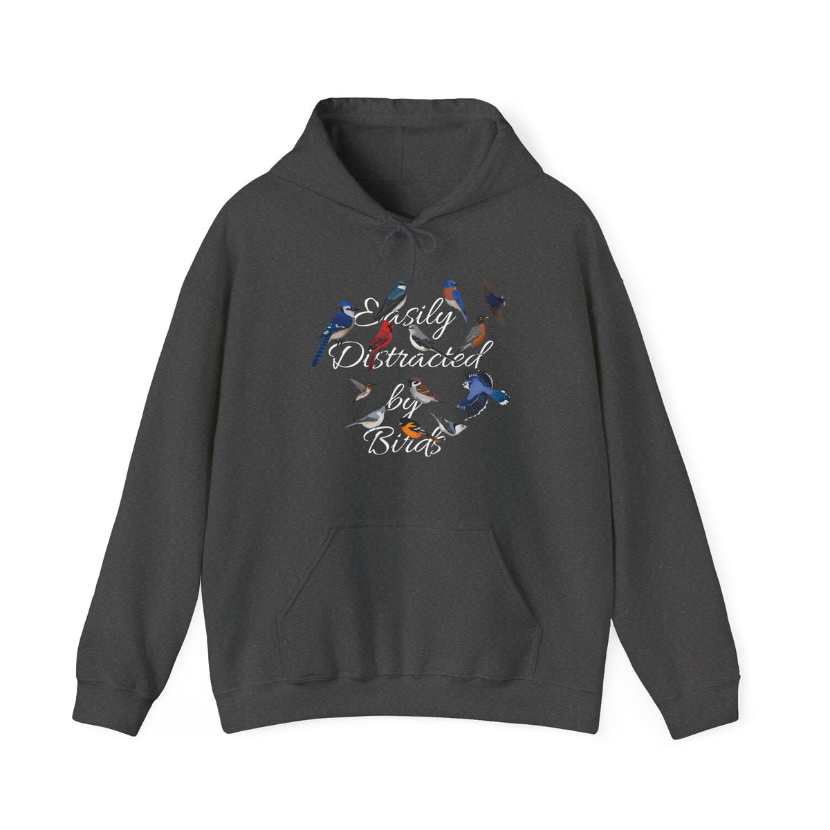 Hummingbird, Blue Jay and Cardinal Hoodie – bird DTG