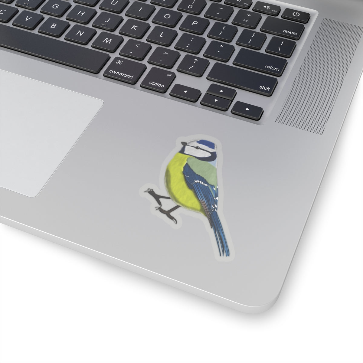 Blue Titmouse Bird Kiss-Cut Sticker - jz.birds