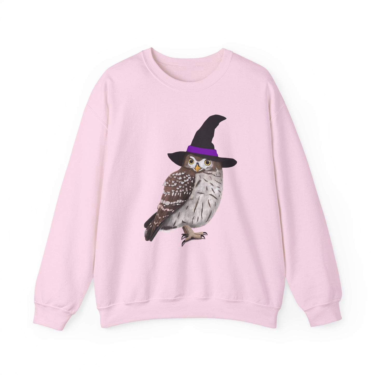 Owl Sweatshirt – Animal Lover Gift and Avian Enthusiast style