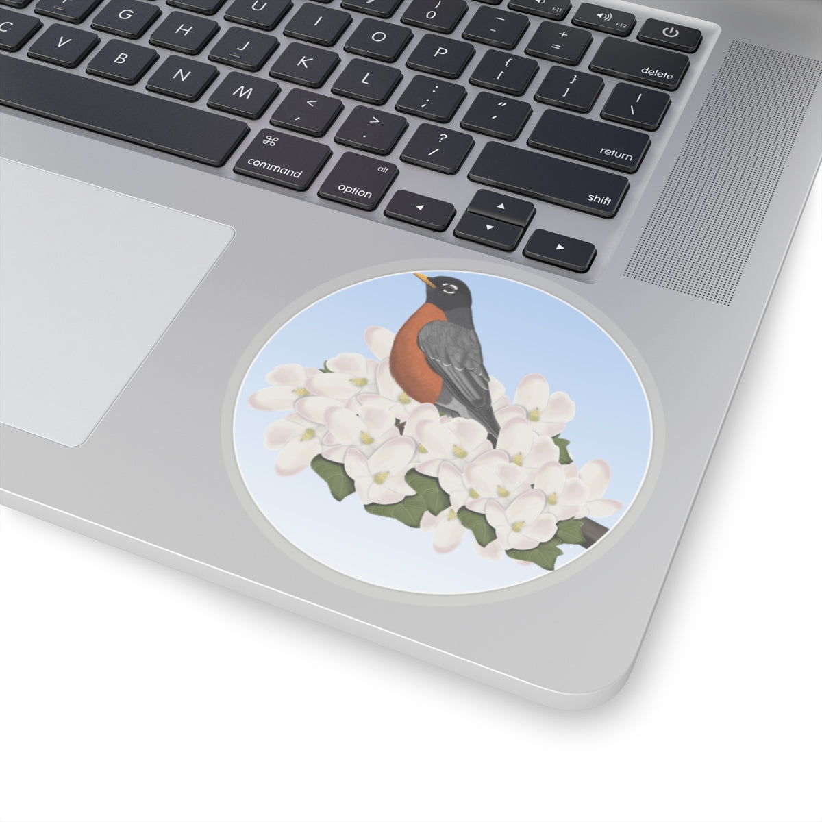 American Robin Paper products – Home & Living and Kiss cut style