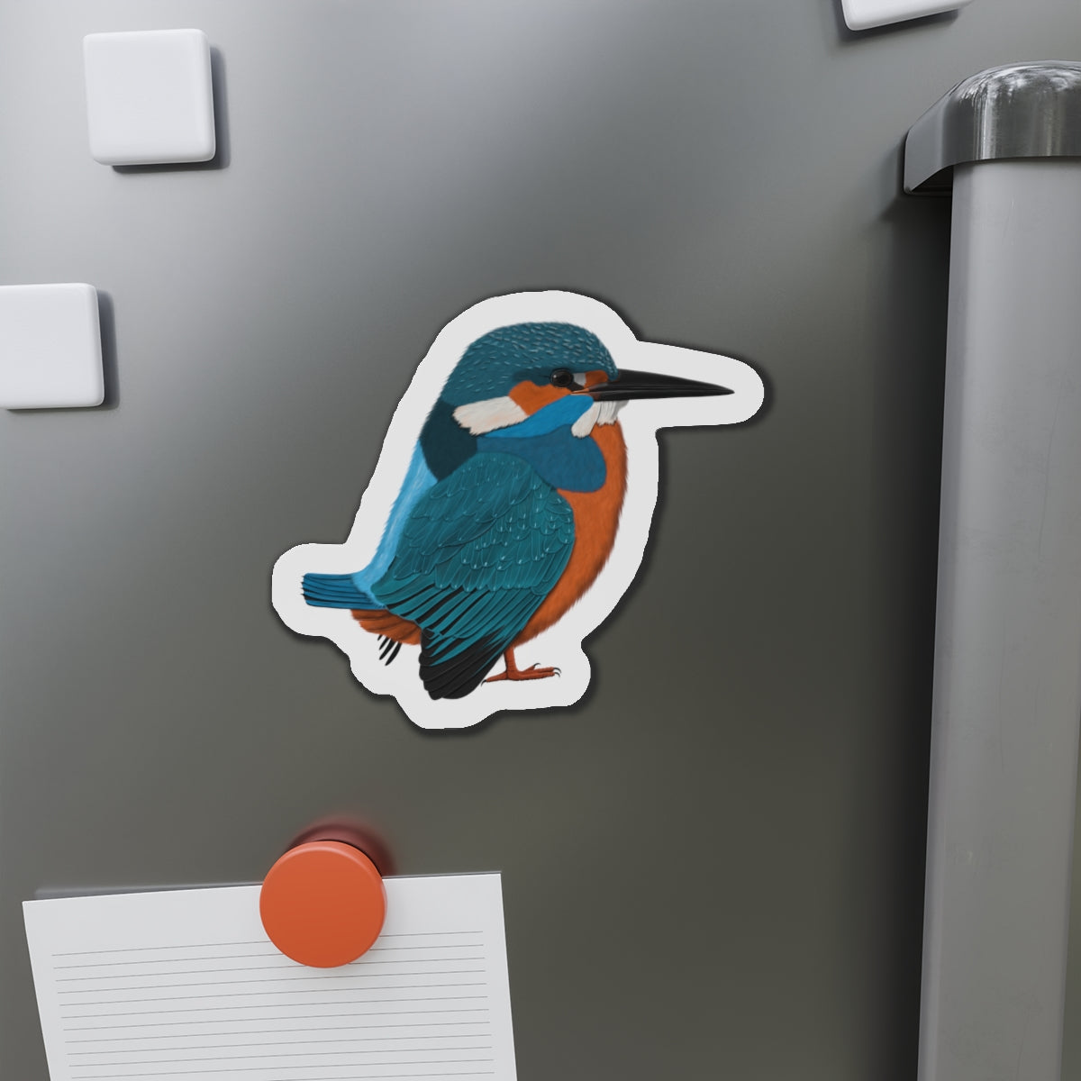 Kingfisher Home Decor on bird magnet background