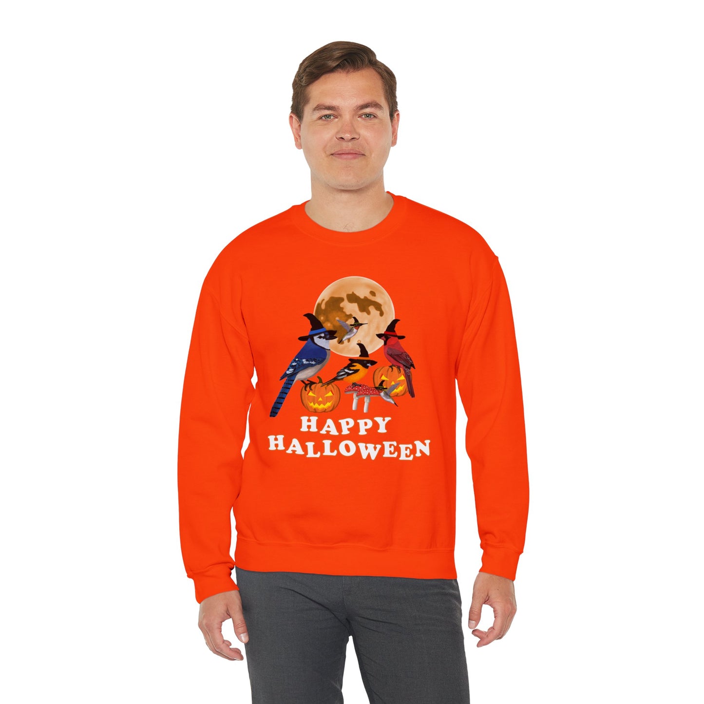 Blue Jay Cardinal Oriole Hummingbird Halloween Birds Witch Birdwatcher Sweatshirt