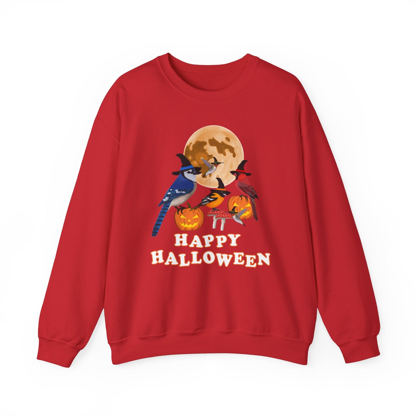 Blue Jay Cardinal Oriole Hummingbird Halloween Birds Witch Birdwatcher Sweatshirt