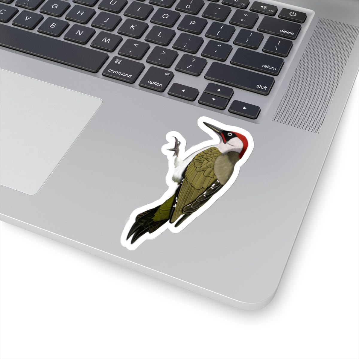 Green Woodpecker Bird Kiss-Cut Sticker - jz.birds