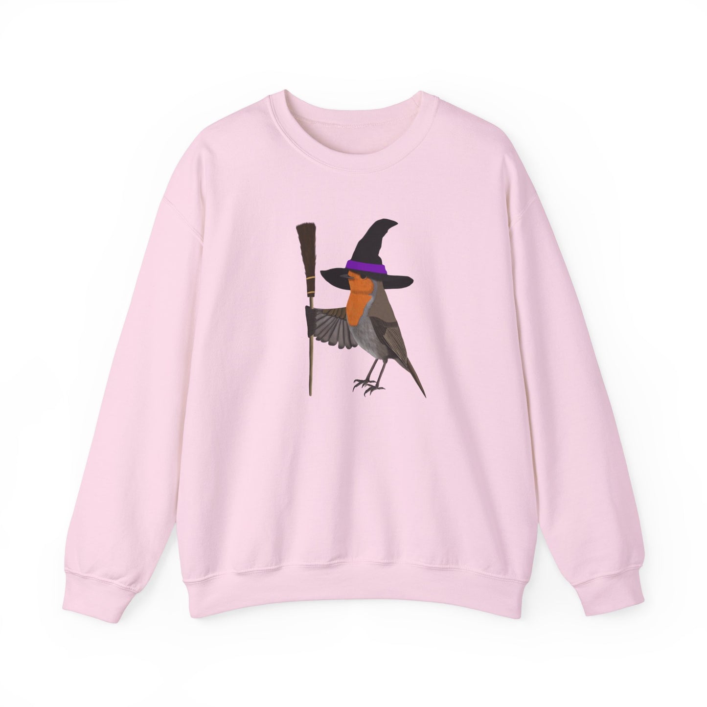 Robin Halloween Witch Birdwatcher Biologist Bird Sweatshirt