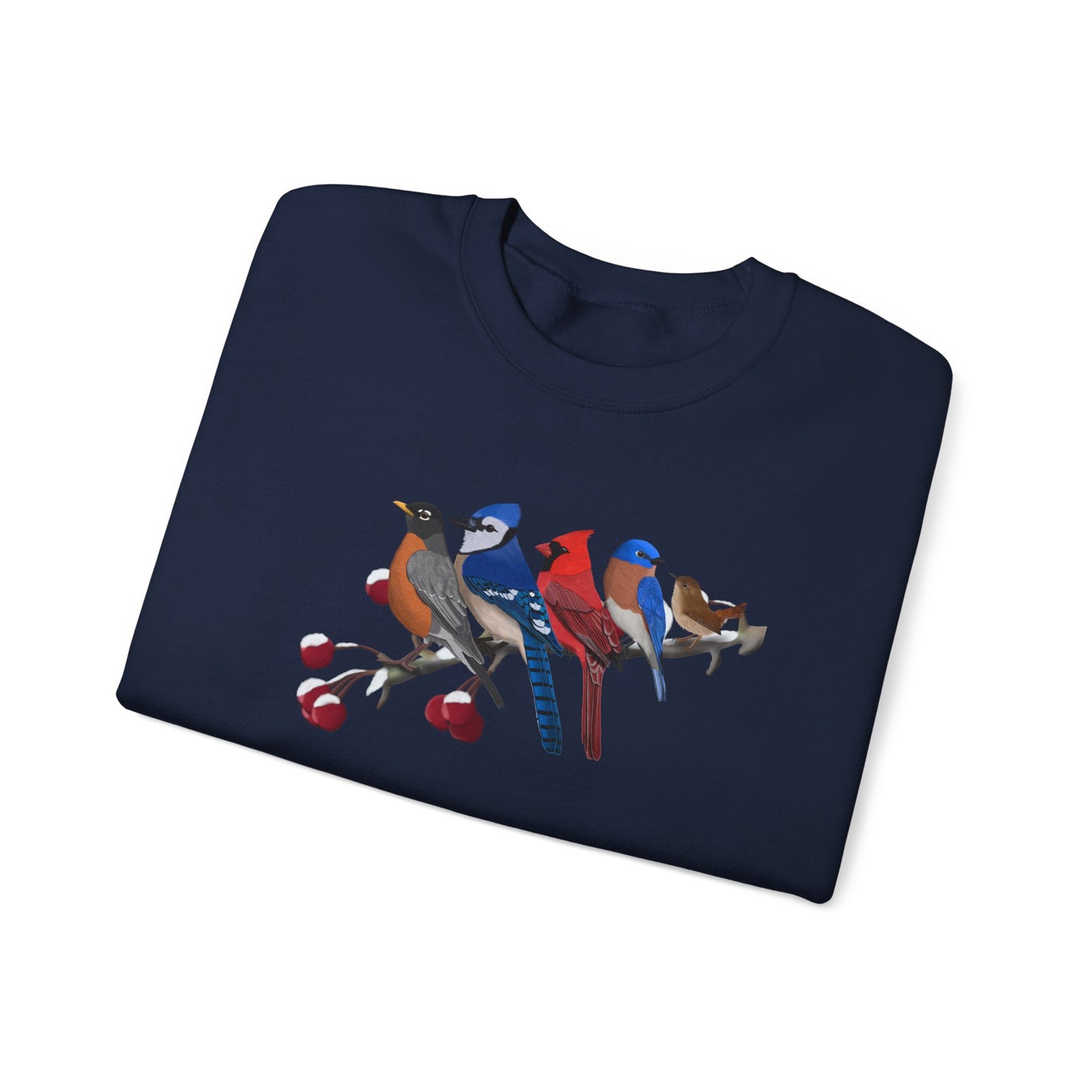 Backyard Birds Robin Blue Jay Cardinal Bluebird Wren Birdwatcher Christmas Bird Sweatshirt