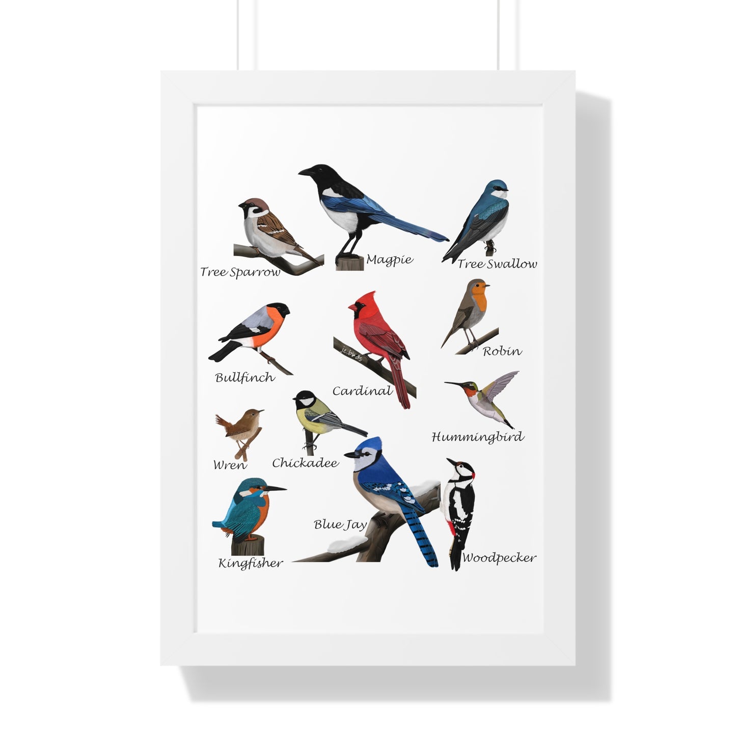 Garden Birds Blue Jay Cardinal Bullfinch Chickadee Framed Poster