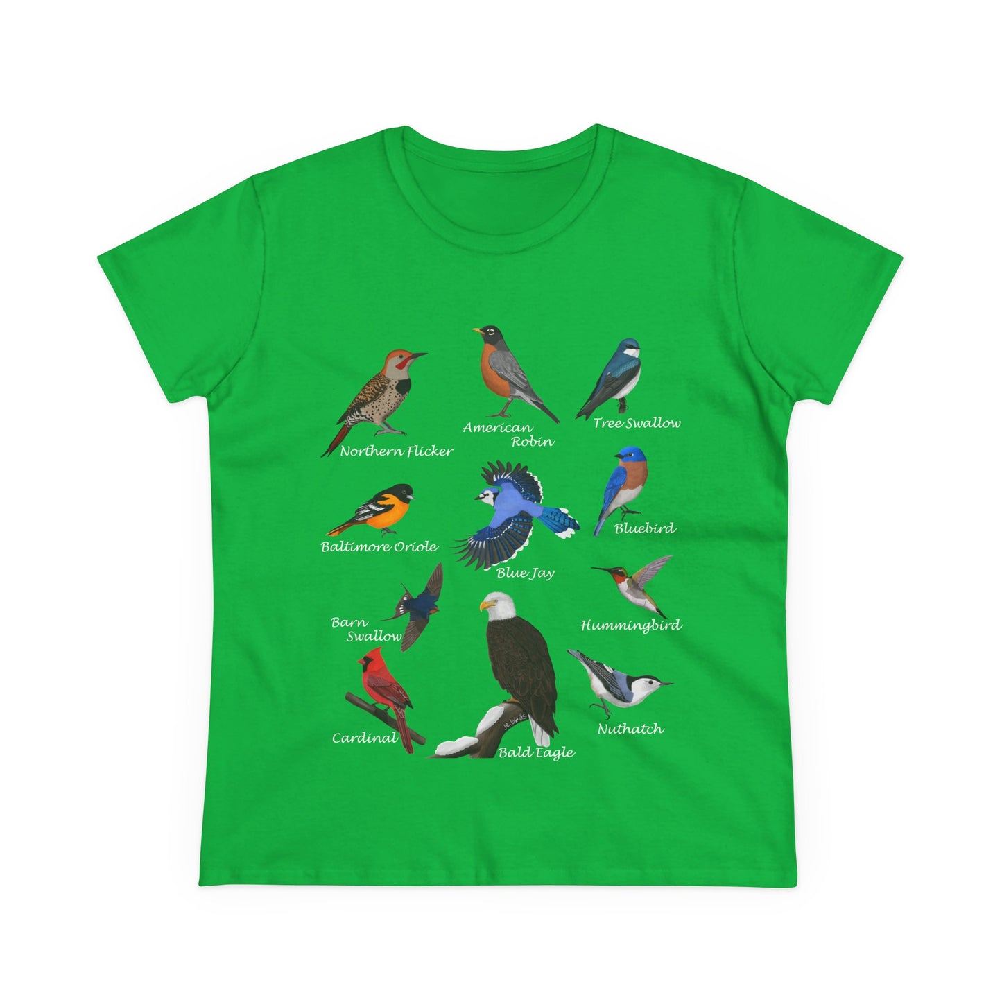 Birds of America Blue Jay Cardinal Bald Eagle Oriole Bird Design for Birdwatchers and Bird Lovers Women's T-Shirt