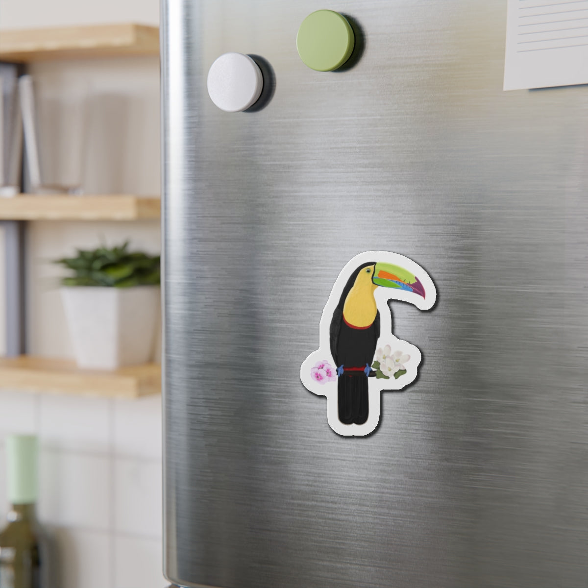Keel-Billed Toucan Bird Magnet