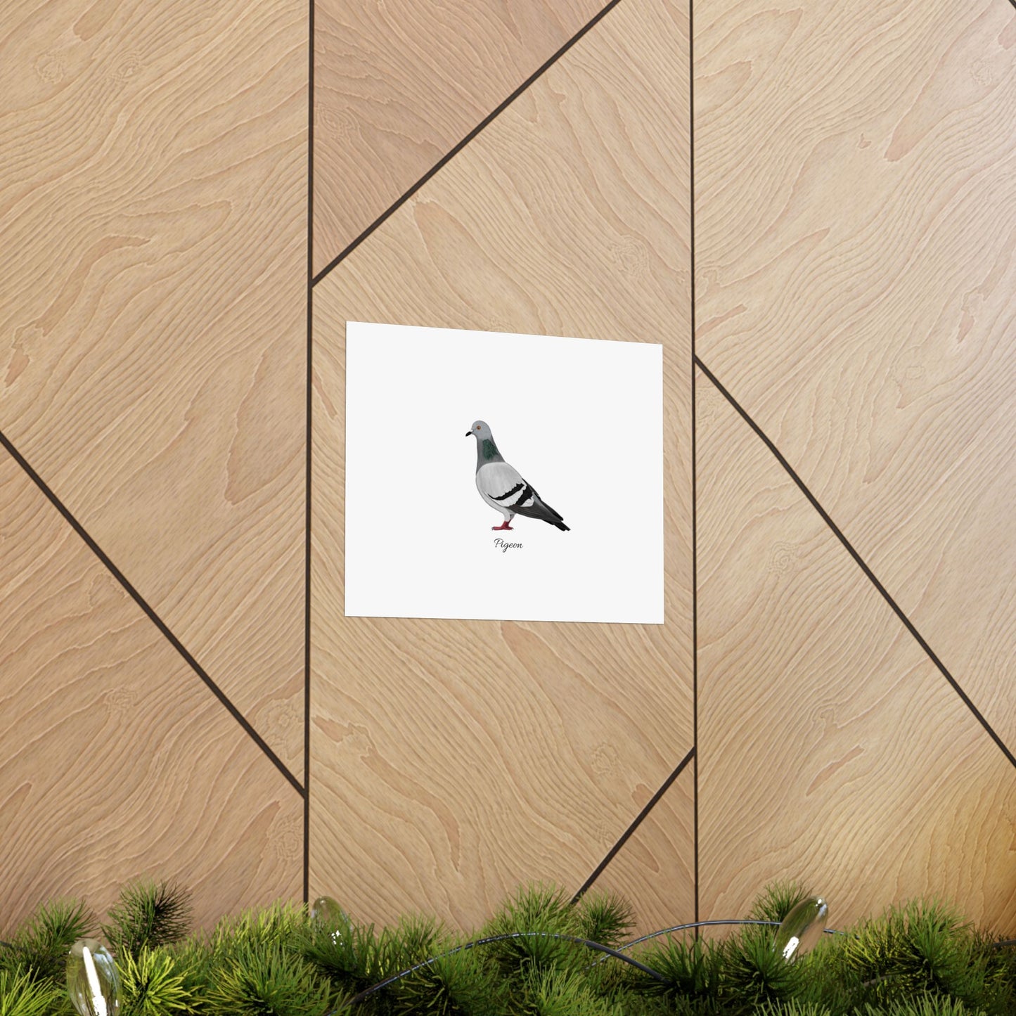 Pigeon Bird Birding Matte Poster