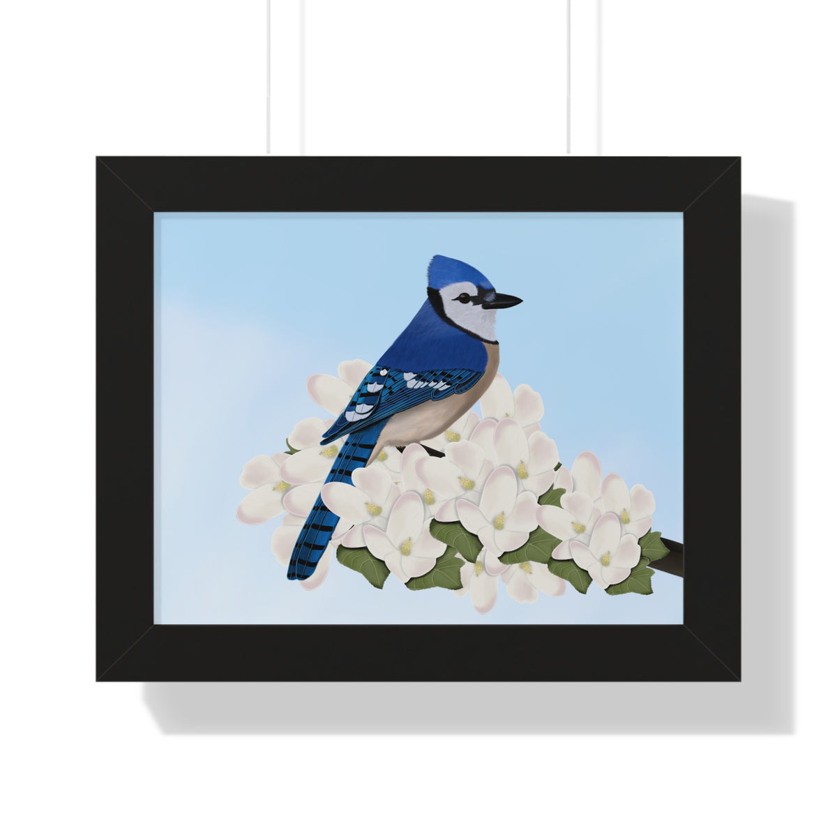 Blue Jay Framed Poster – Home & Living