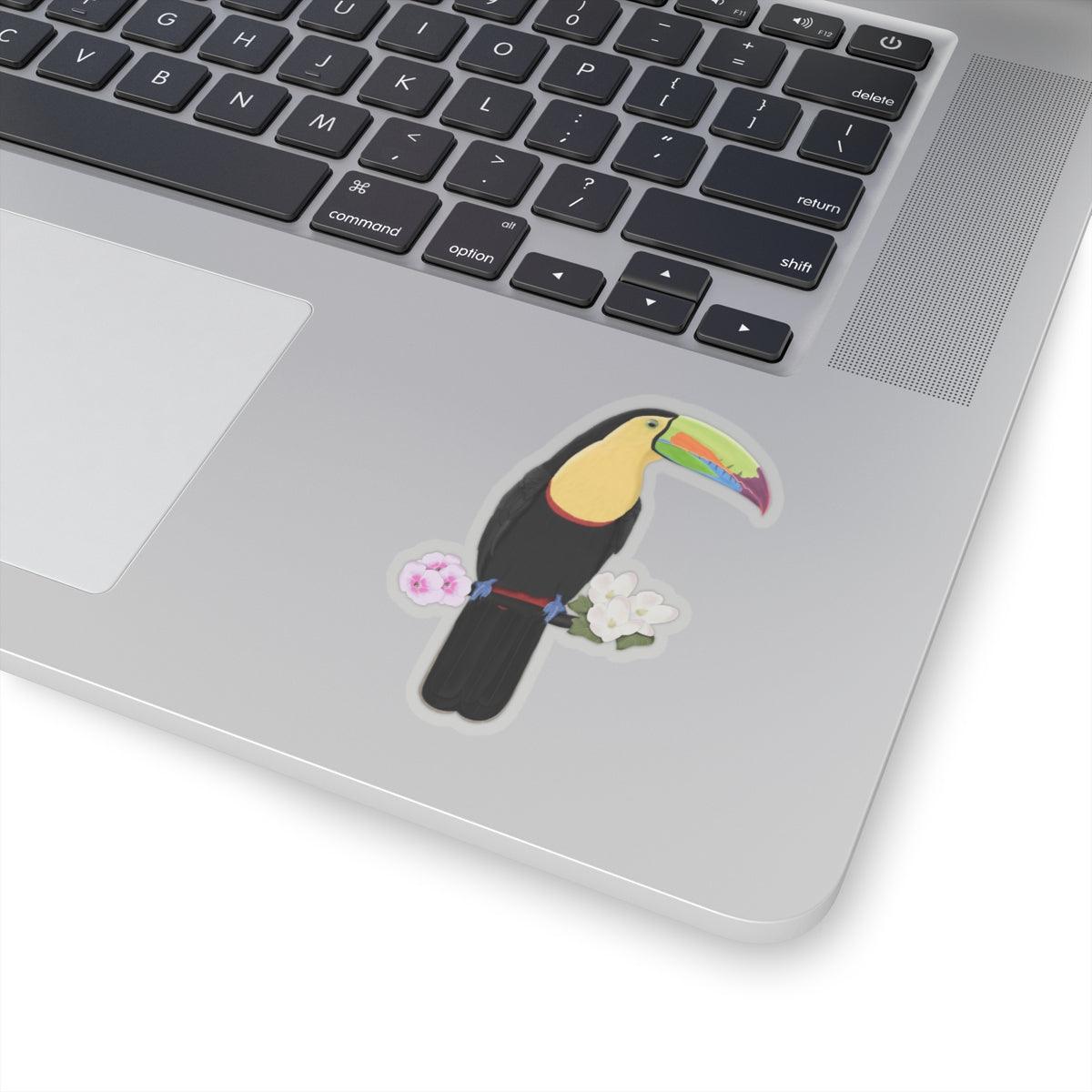 Keel-Billed Toucan Bird Sticker