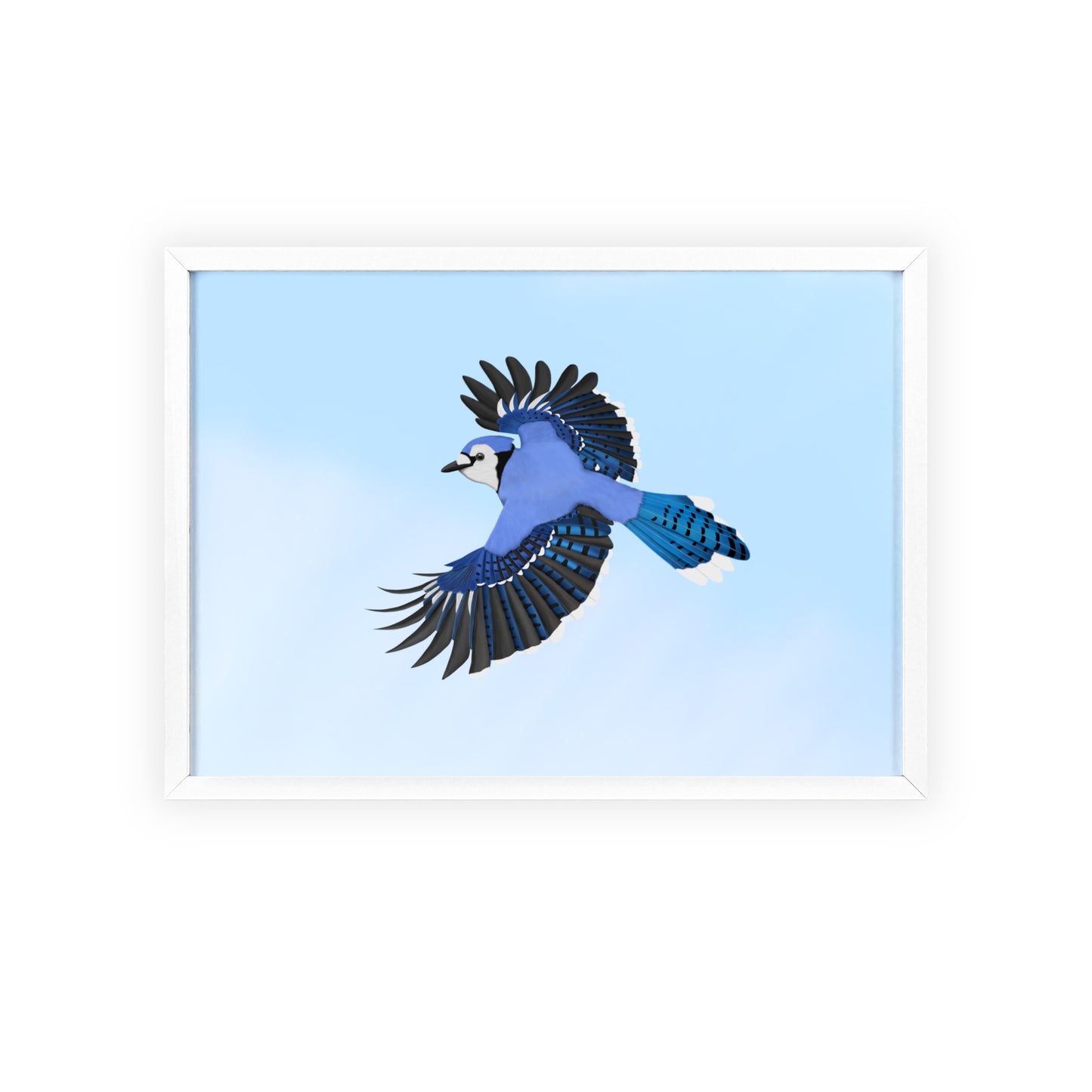 Vogel Poster im Holzrahmen - Blue Jay Poster Gartenvogel Singvogel