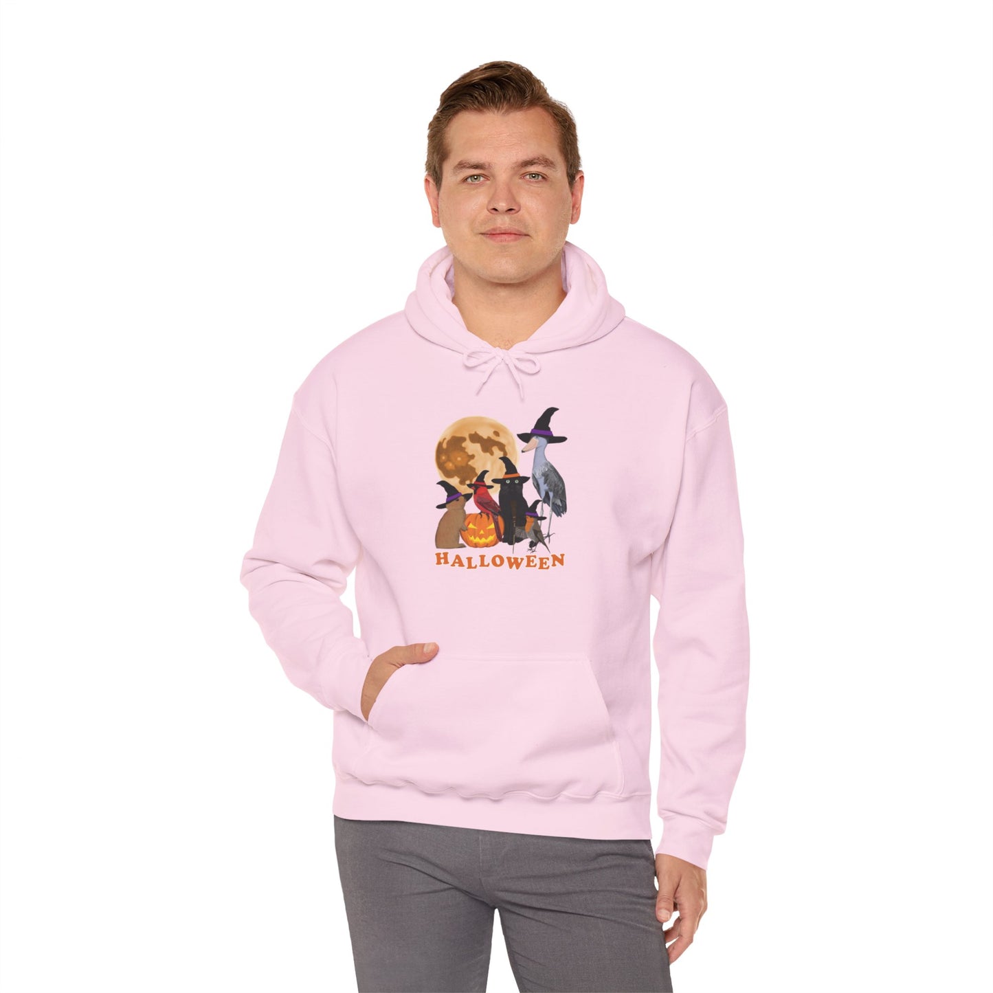 Cardinal Robin Shoebill with Cat and Bunny Halloween Bird Hoodie