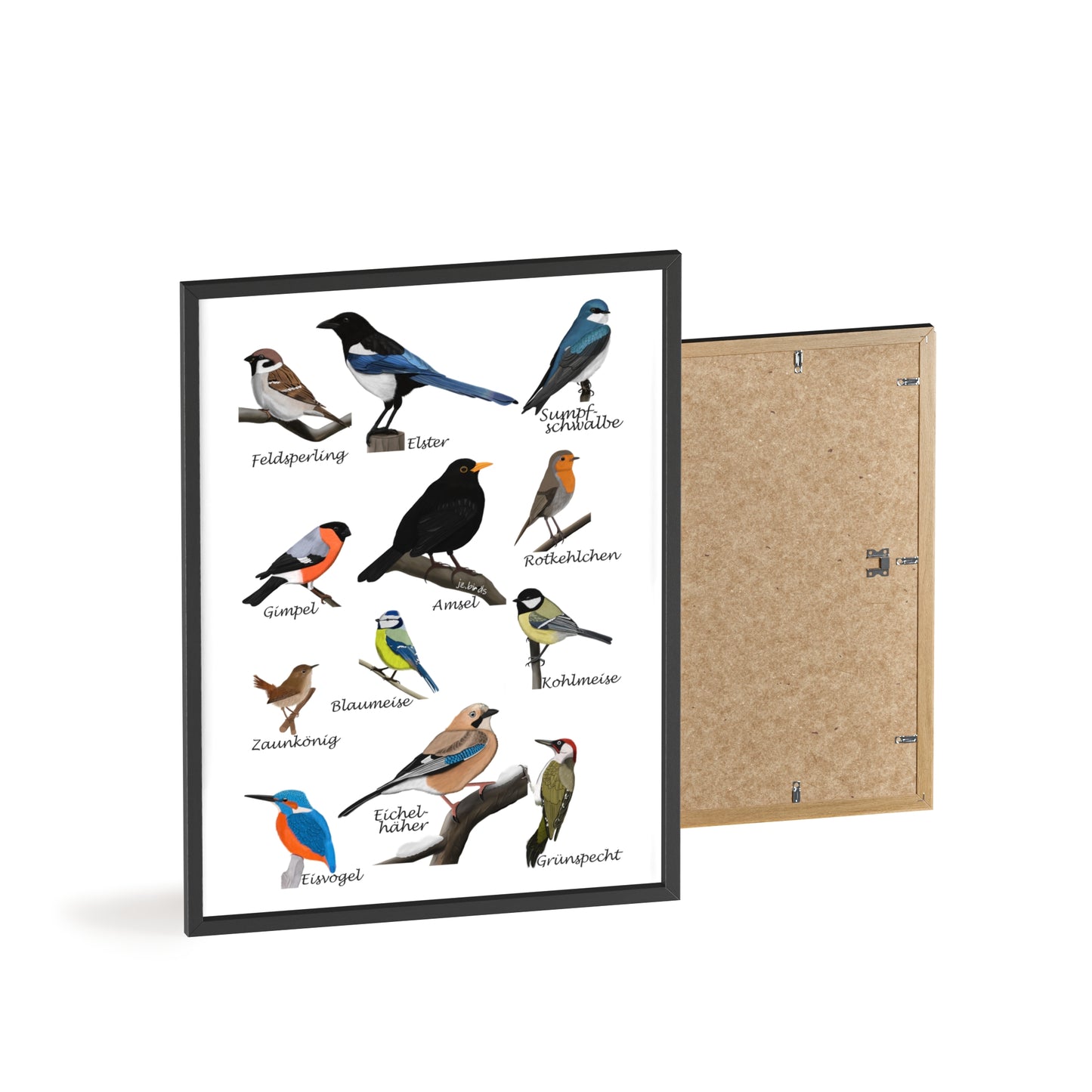 Vogel Poster im Holzrahmen - Gartenvögel Amsel Rotkehlchen Blaumeise