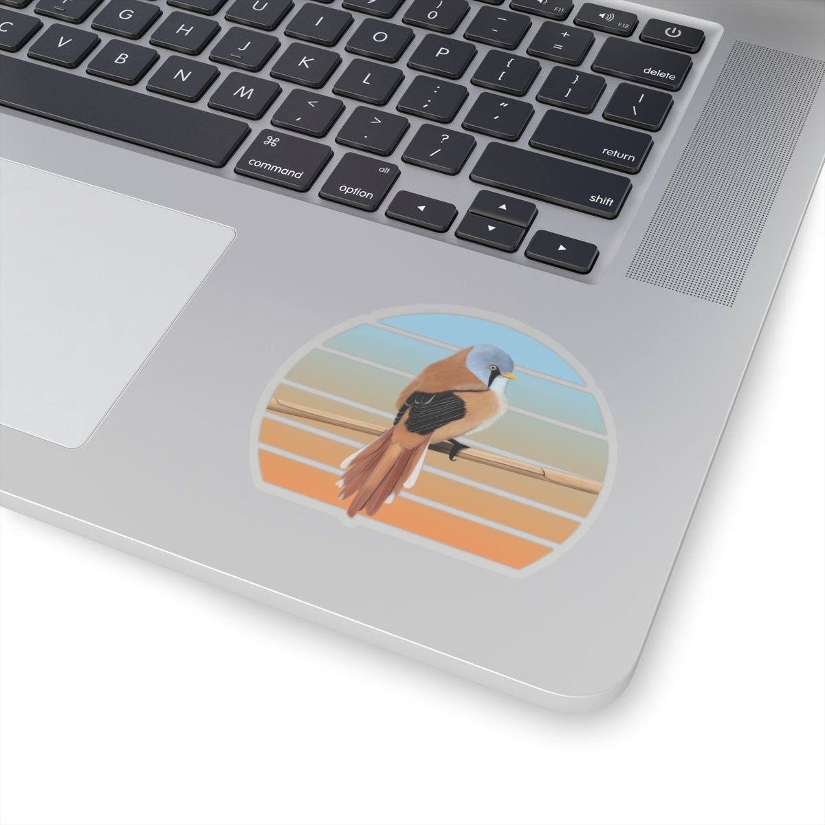Bearded Reedling Bird Sticker