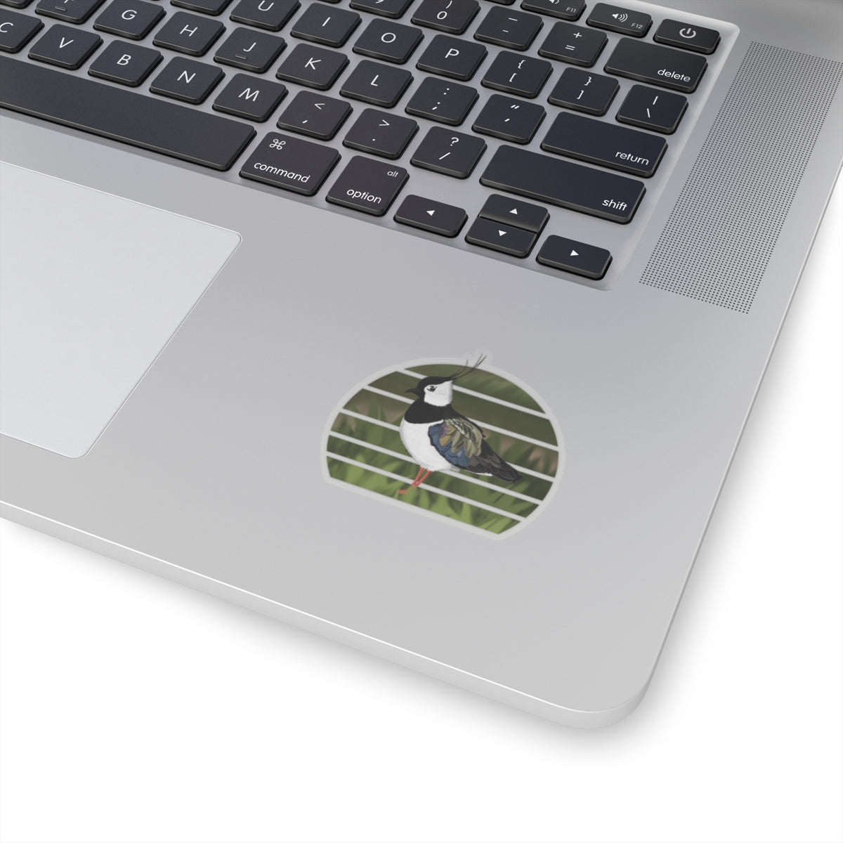 Lapwing Bird Sticker