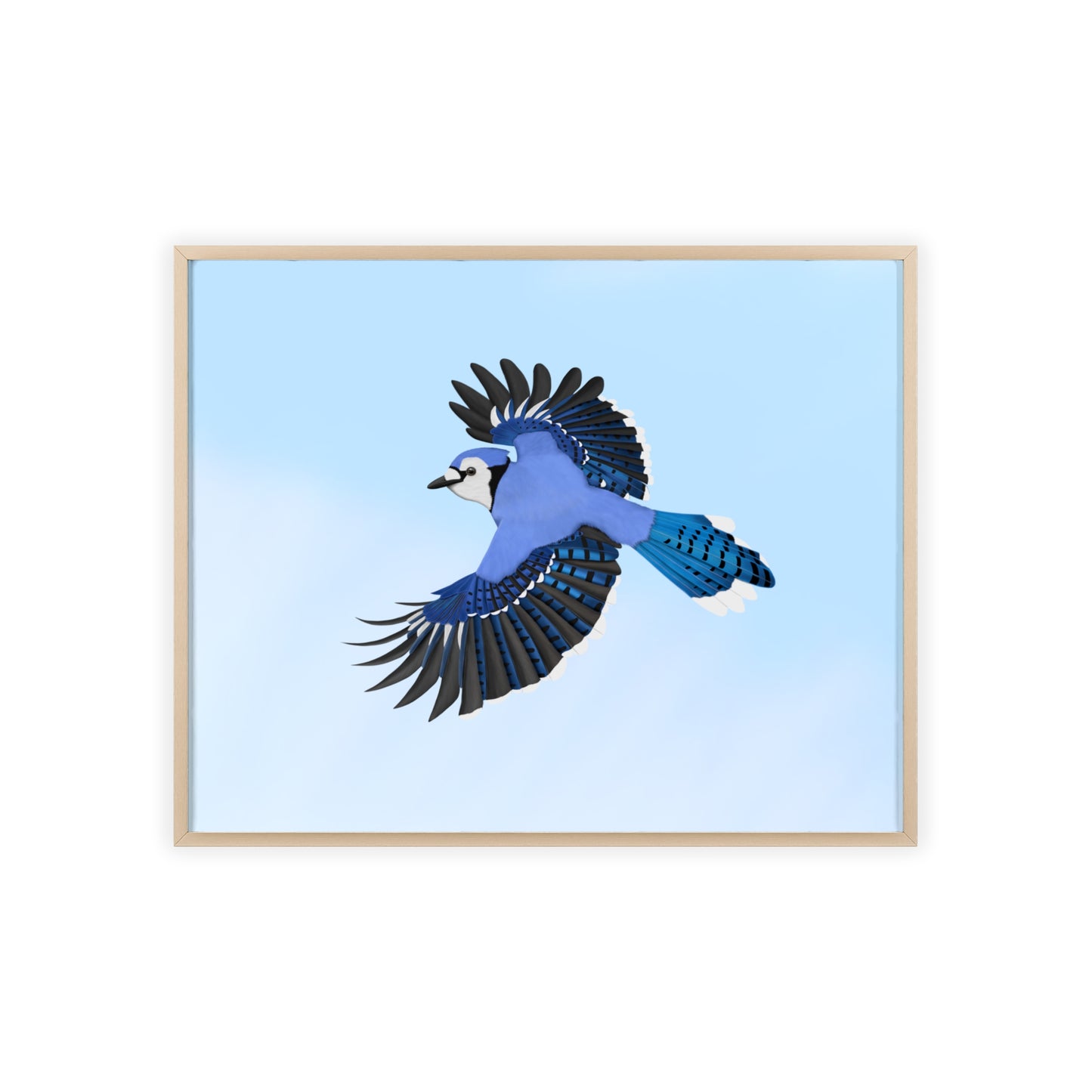 Vogel Poster im Holzrahmen - Blue Jay Poster Gartenvogel Singvogel