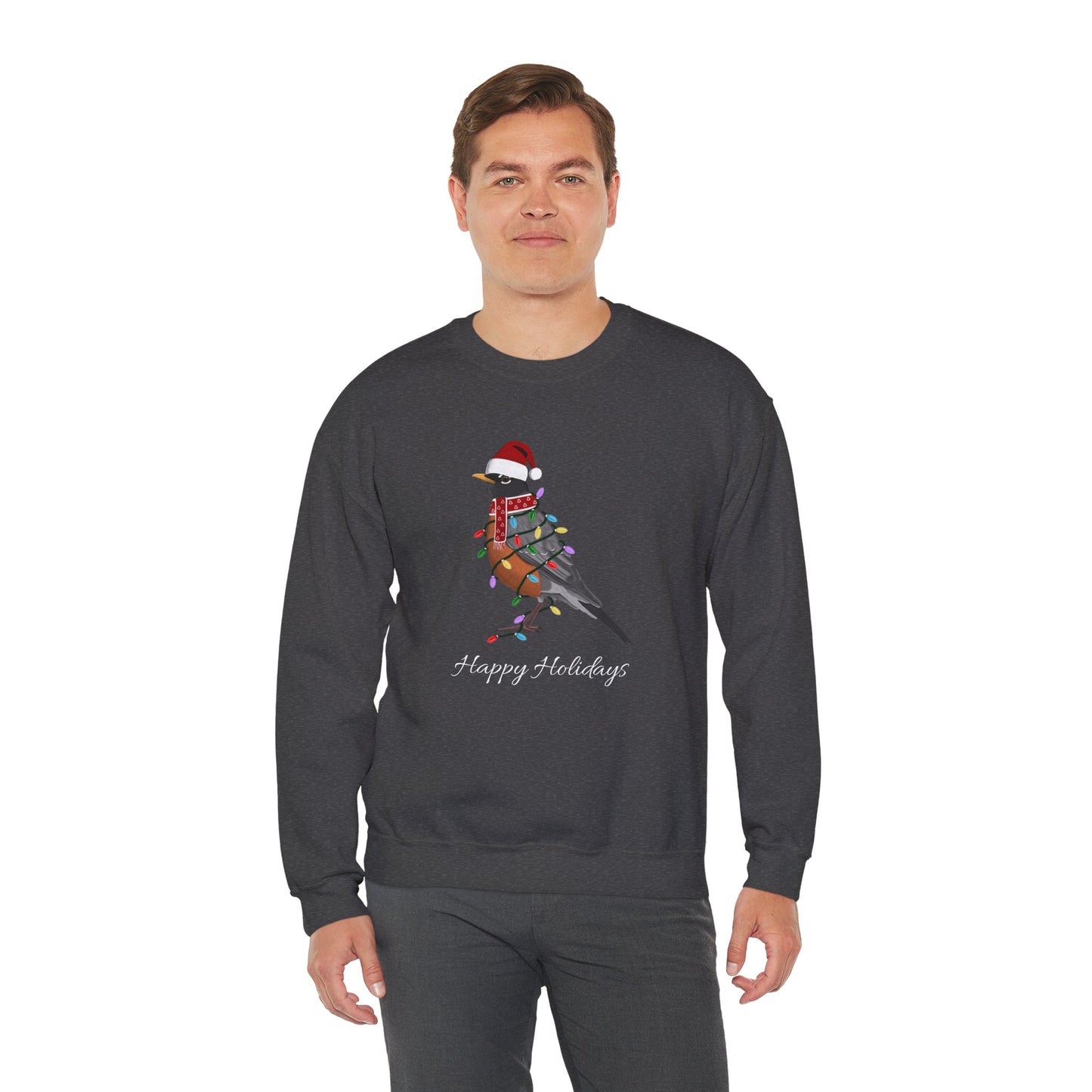 Robin with Fairy Lights as Santa Happy Holidays Birdwatcher Christmas Bird Sweatshirt