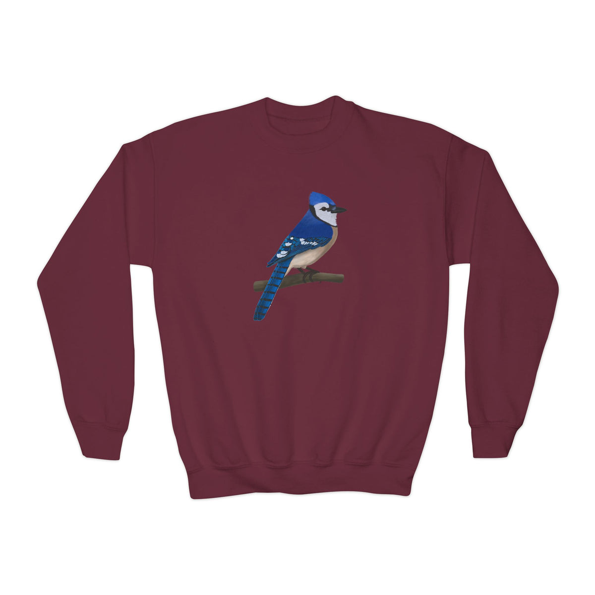 Blue Jay Youth Sweatshirts – Casual Kids Clothing and Cool Weather Outfit style
