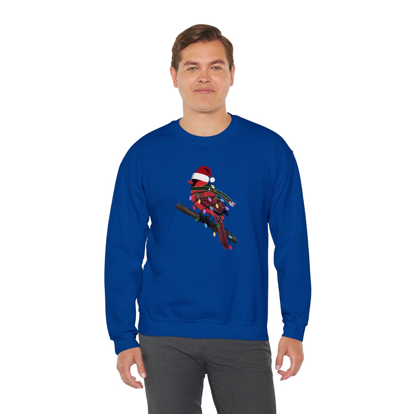 Cardinal with Fairy Lights Santa Claus Christmas Bird Sweatshirt