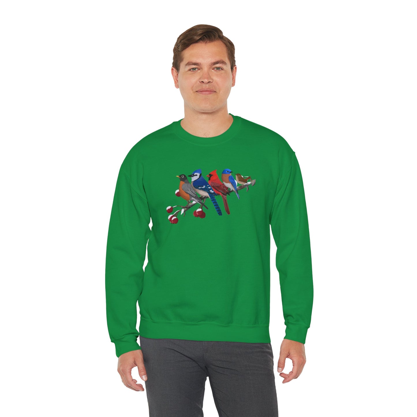 Backyard Birds Robin Blue Jay Cardinal Bluebird Wren Birdwatcher Christmas Bird Sweatshirt
