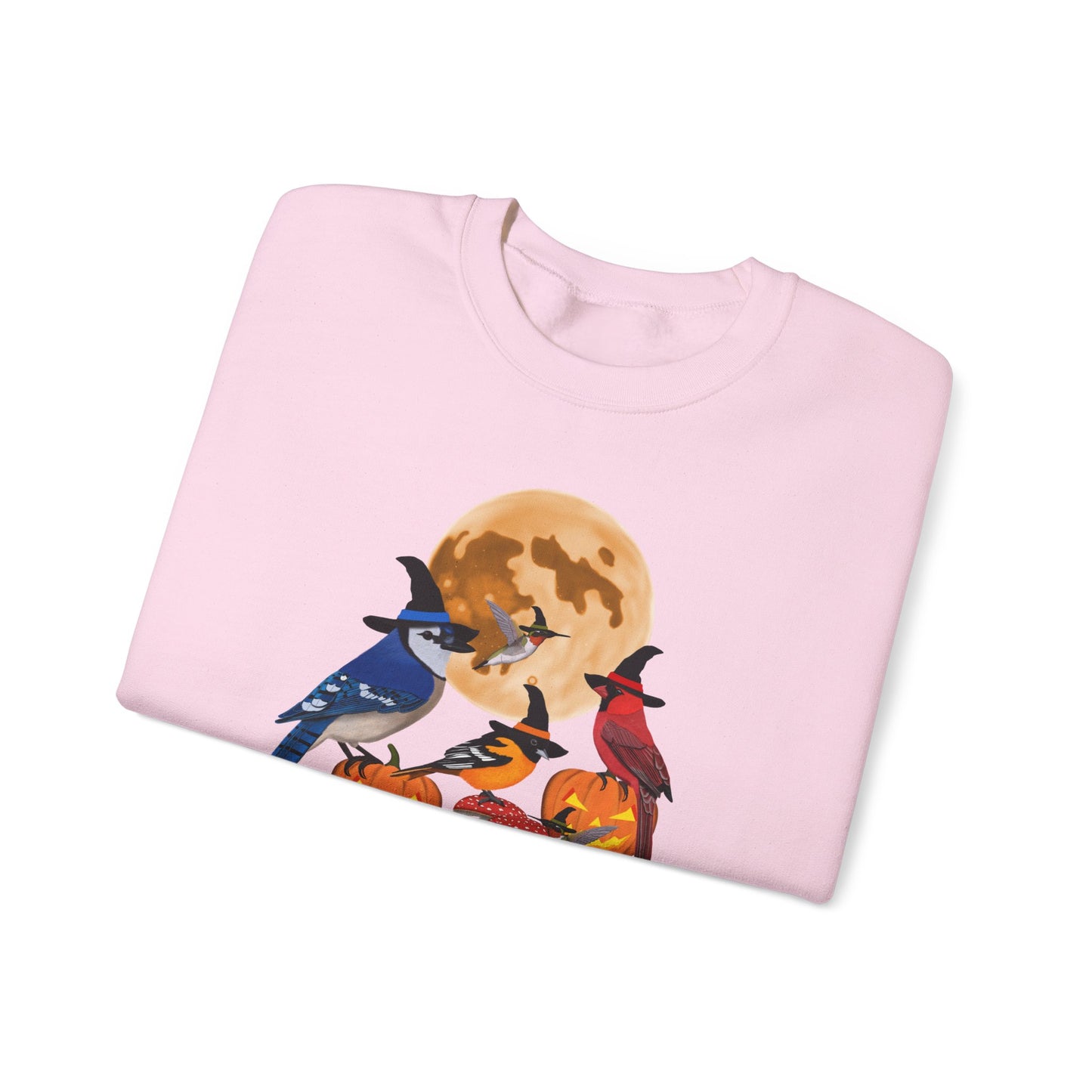 Blue Jay Cardinal Oriole Hummingbird Halloween Birds Witch Birdwatcher Sweatshirt